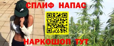 герыч Камышлов