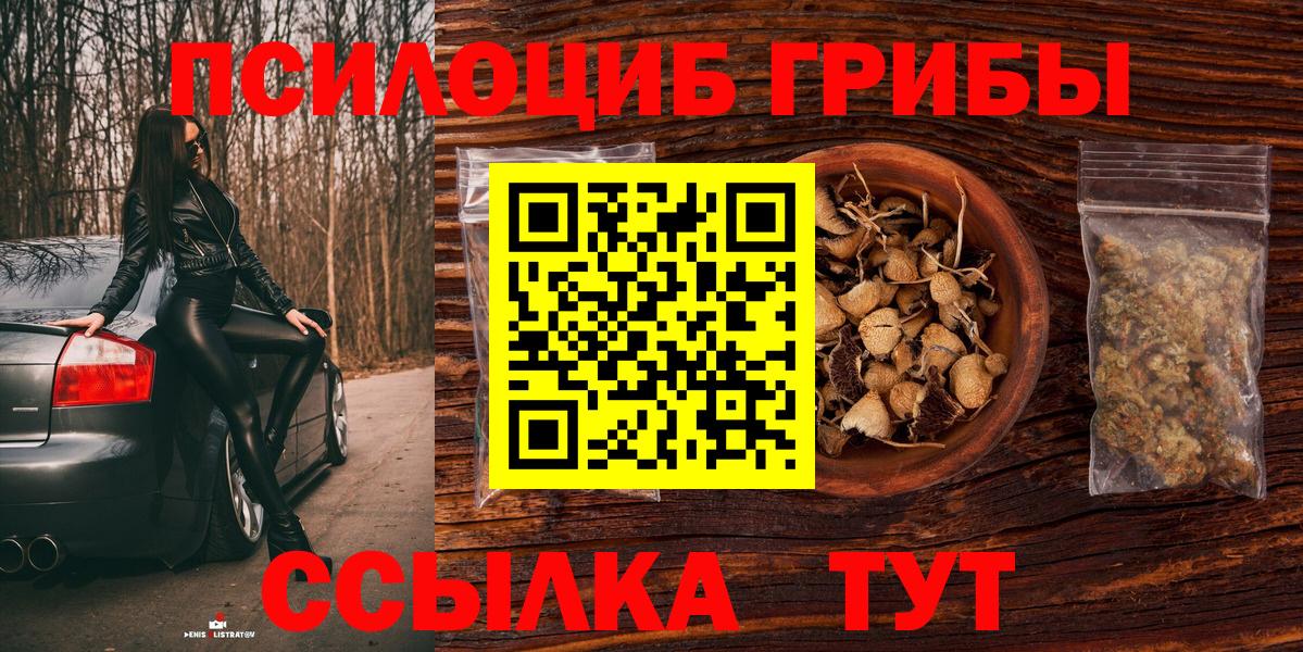 Псилоцибиновые грибы мицелий  Вход с VPN  как найти наркотики  Волоколамск 
