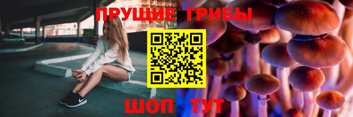 Псилоцибиновые грибы мицелий Волоколамск